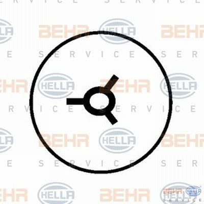 Behr A/C Compressor