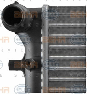 Behr Radiator