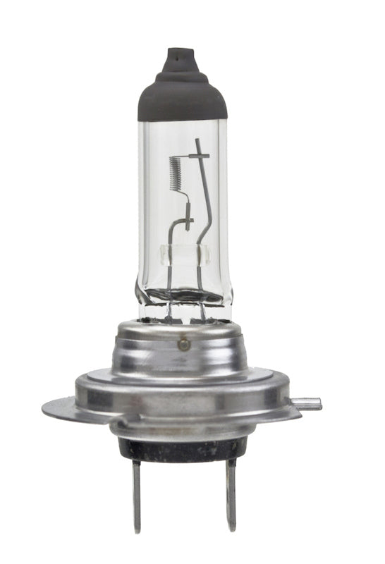 Hella Bulb H7 12V 55W Px26D T4625 (2) H7TB