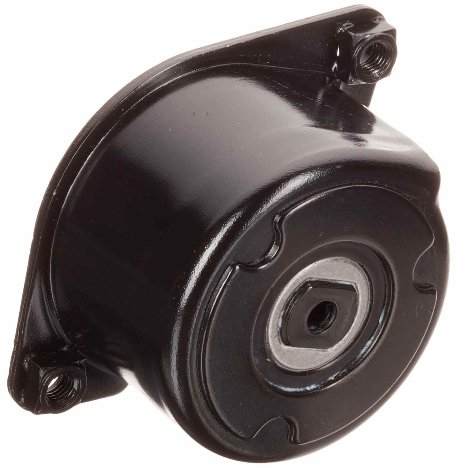INA US Accessory Drive Belt Tensioner FT40170