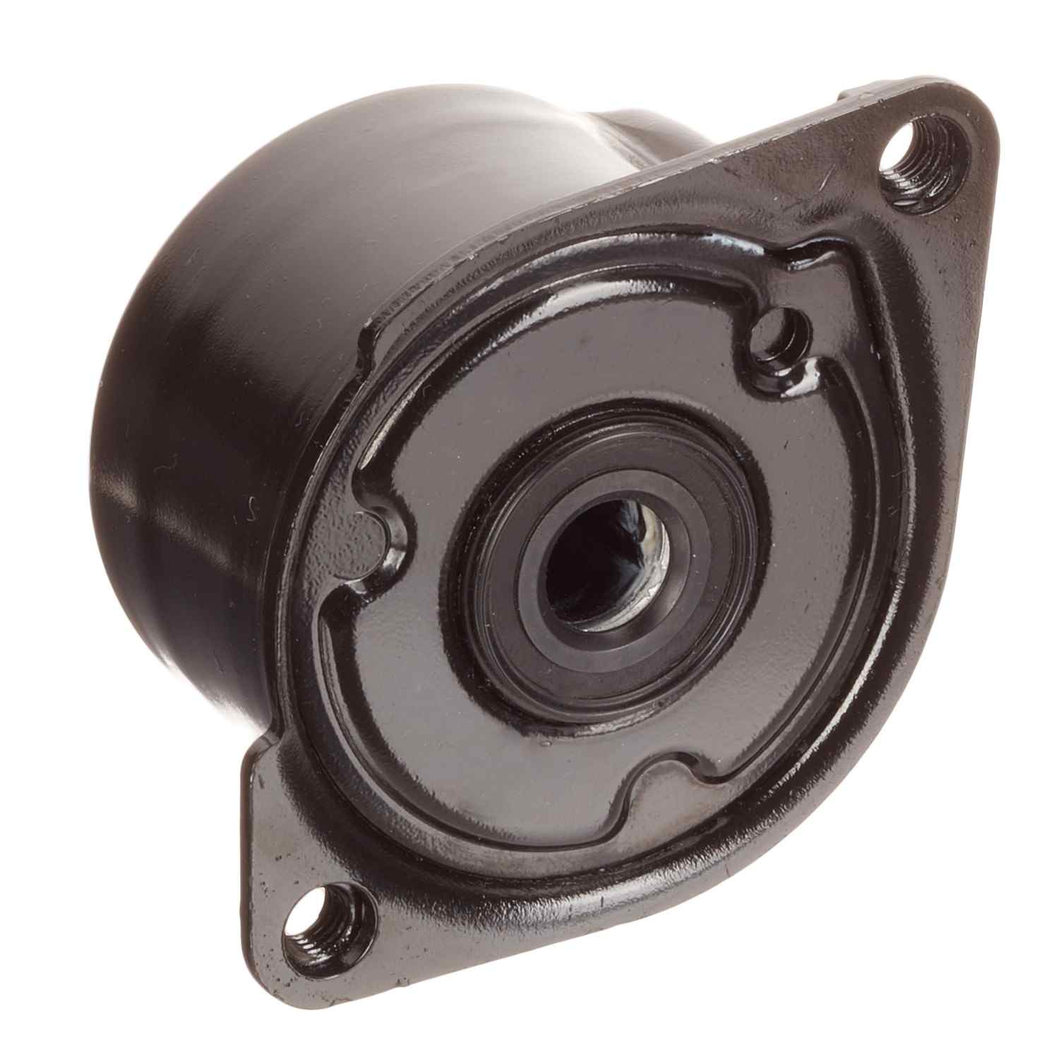 INA US Accessory Drive Belt Tensioner FT40170