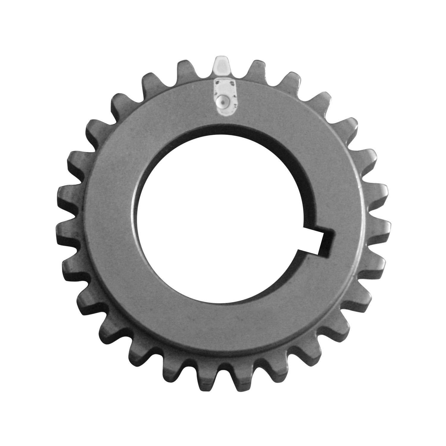 INA US Engine Timing Chain ZC0284