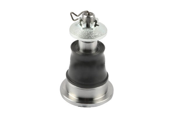 Suspensia X17BJ0363