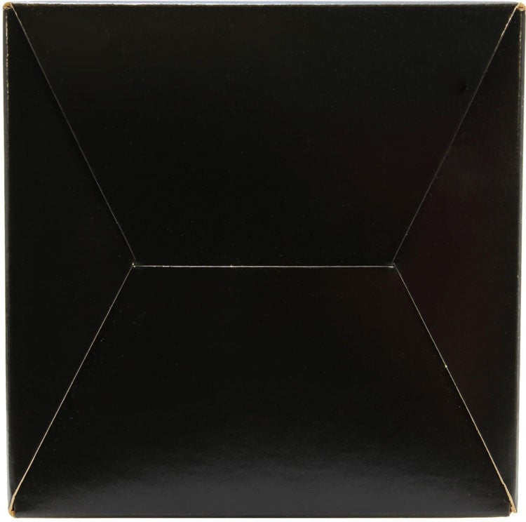 AEM Induction DryFlow Air Filter AIP21-2031D-HK