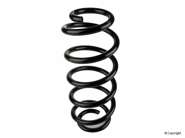 Lesjofors Coil Spring