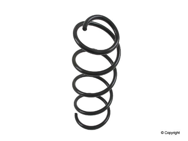 Lesjofors Coil Spring