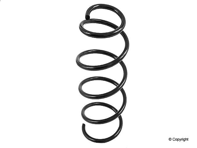 Lesjofors Coil Spring