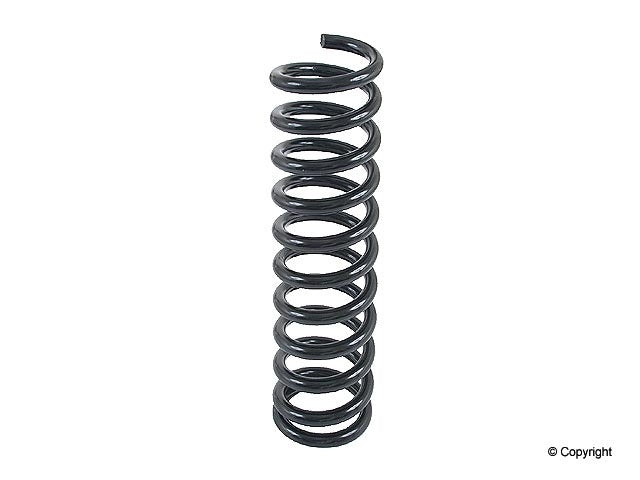 Lesjofors Coil Spring
