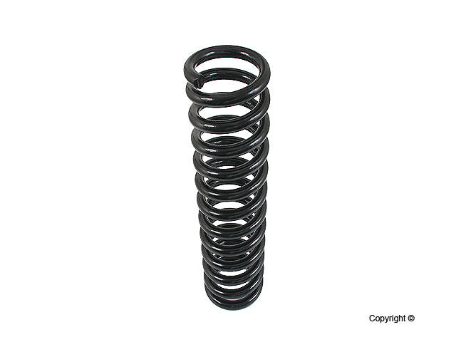 Lesjofors Coil Spring 4056804