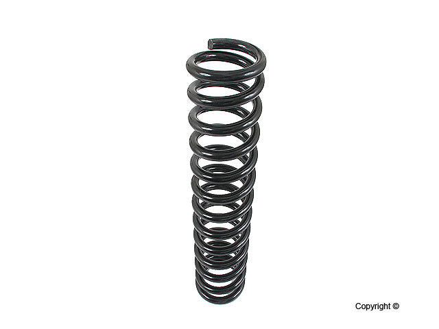 Lesjofors Coil Spring 4056812