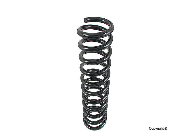 Lesjofors Coil Spring 4056817