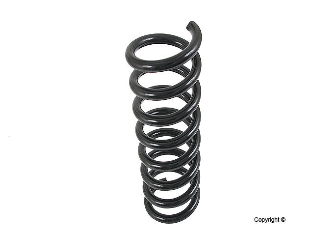 Lesjofors Coil Spring