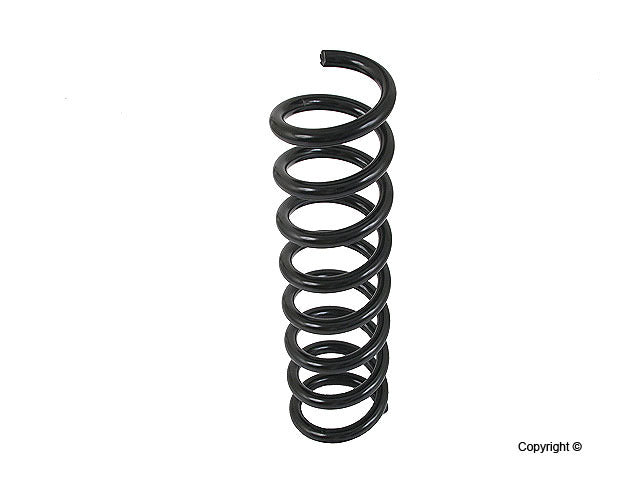 Lesjofors Coil Spring