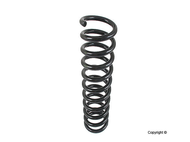 Lesjofors Coil Spring