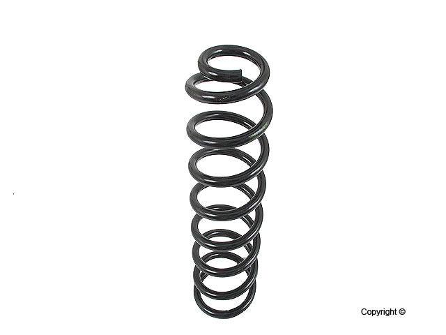 Lesjofors Coil Spring 4056844