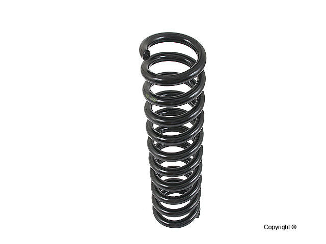 Lesjofors Coil Spring
