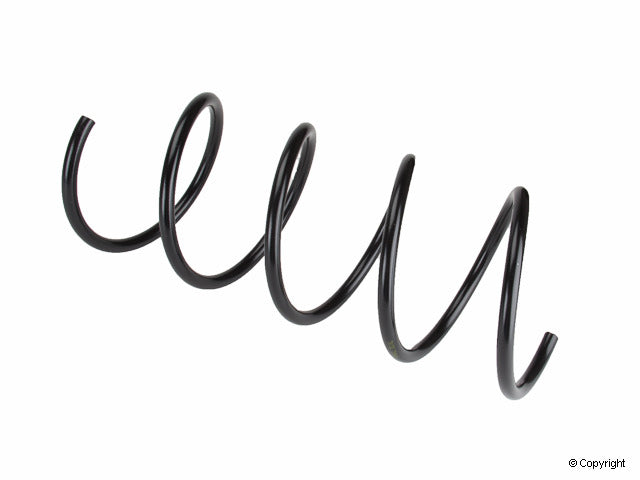 Lesjofors Coil Spring