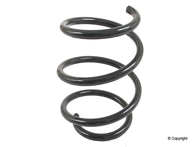 Lesjofors Coil Spring