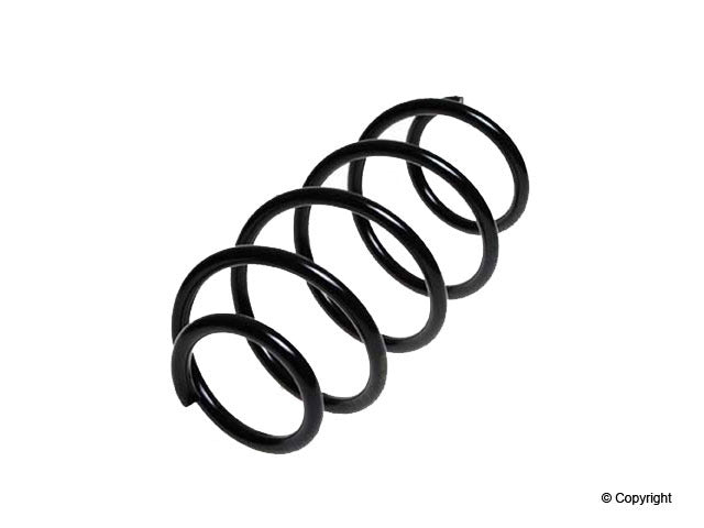 Lesjofors Coil Spring