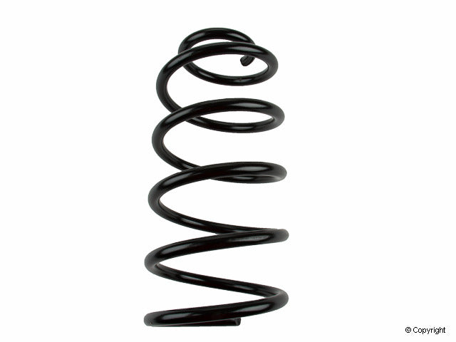 Lesjofors Coil Spring