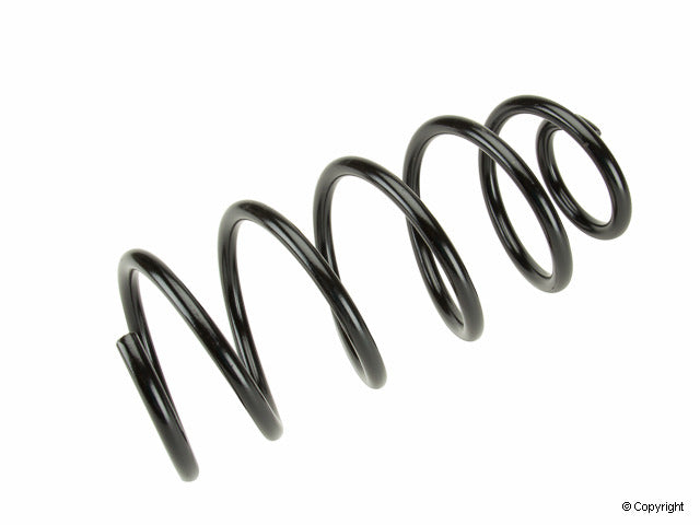 Lesjofors Coil Spring 4095077