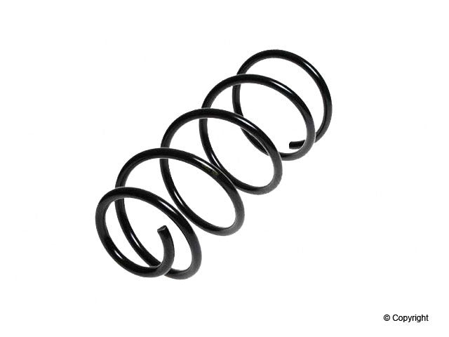 Lesjofors Coil Spring