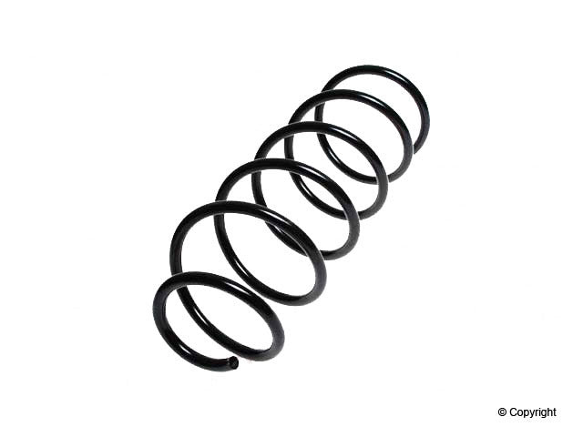 Lesjofors Coil Spring 4095837