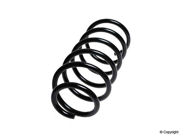 Lesjofors Coil Spring 4095840