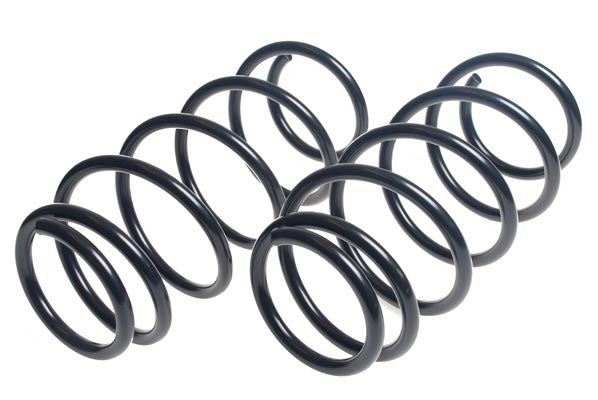 Lesjofors Coil Spring Set 4149100