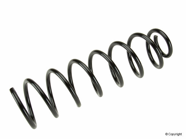 Lesjofors Coil Spring