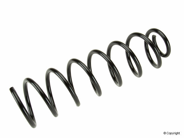 Lesjofors Coil Spring 4204211