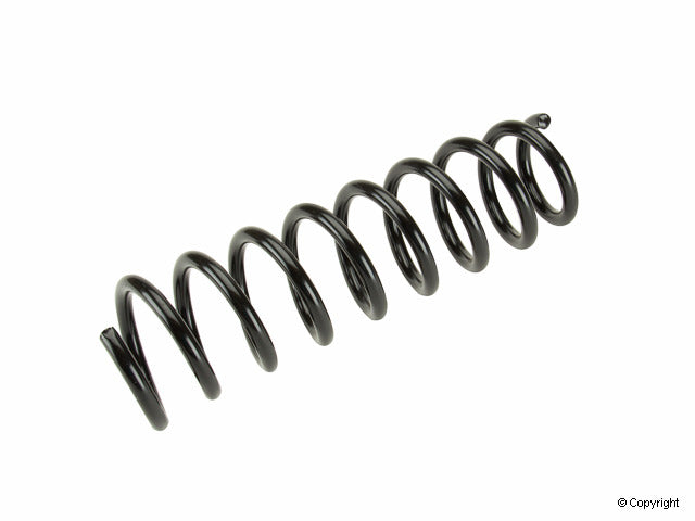 Lesjofors Coil Spring