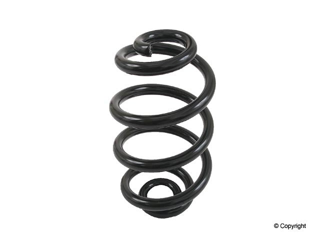 Lesjofors Coil Spring