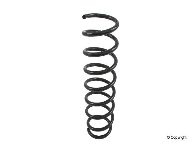 Lesjofors Coil Spring