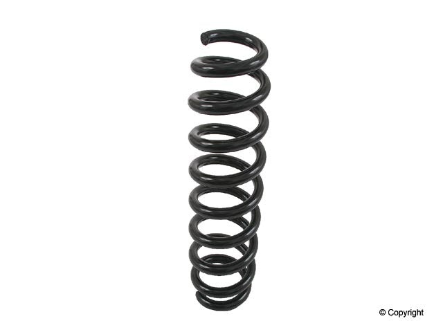 Lesjofors Coil Spring