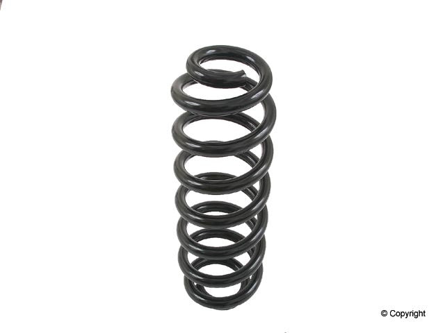 Lesjofors Coil Spring 4208457