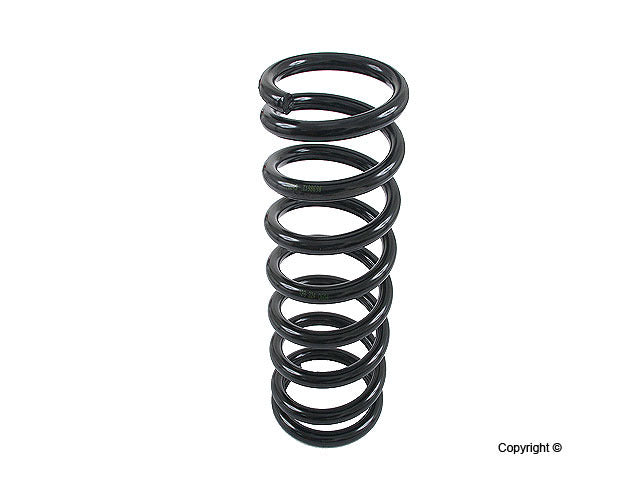 Lesjofors Coil Spring