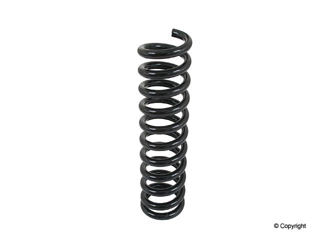 Lesjofors Coil Spring 4256803