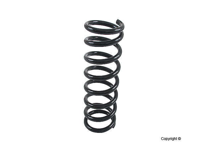 Lesjofors Coil Spring 4256804