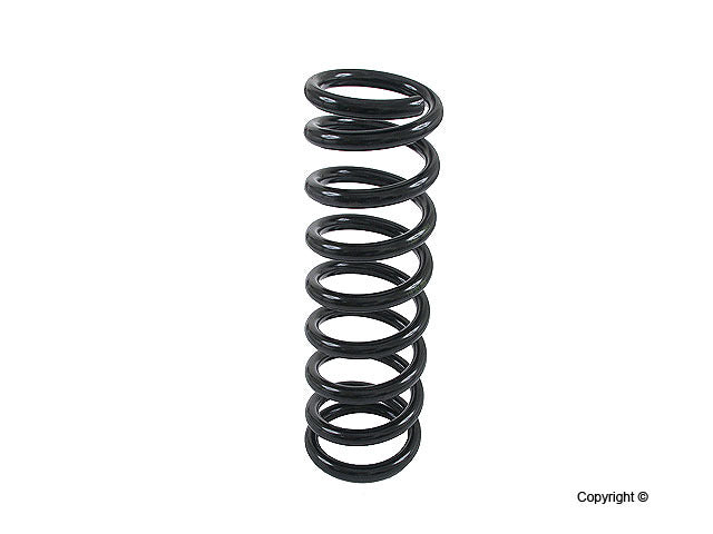 Lesjofors Coil Spring