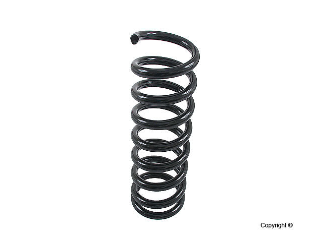 Lesjofors Coil Spring