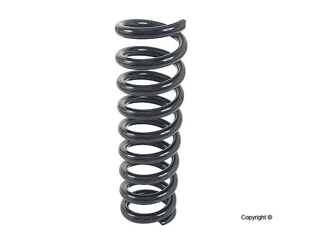 Lesjofors Coil Spring