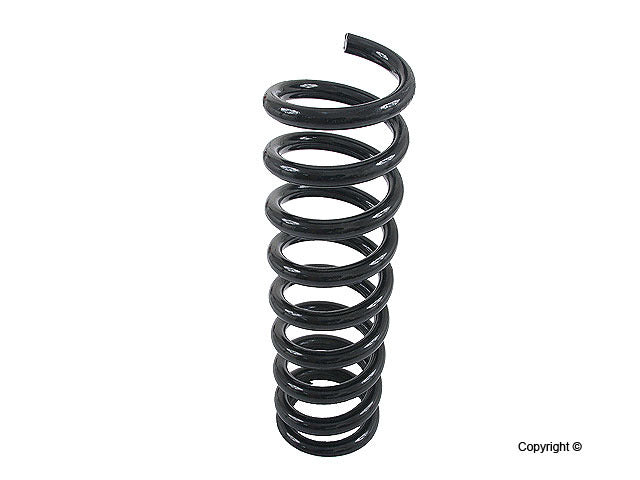 Lesjofors Coil Spring