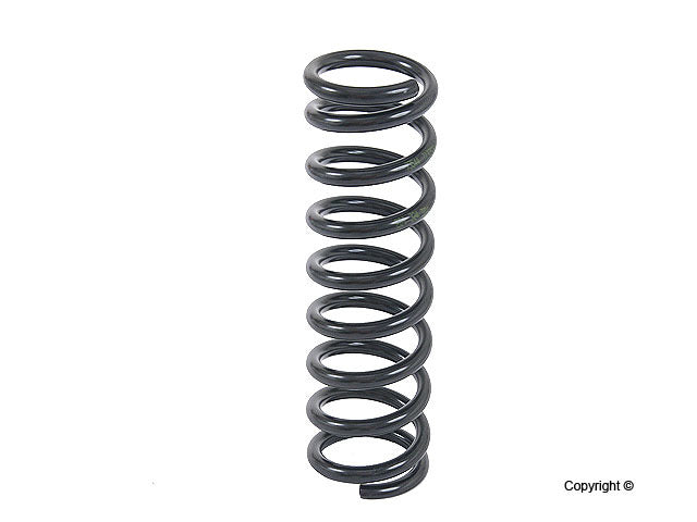 Lesjofors Coil Spring 4256819