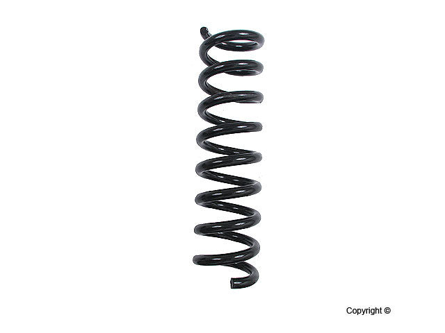 Lesjofors Coil Spring