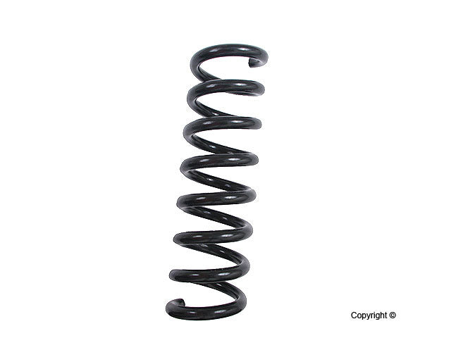 Lesjofors Coil Spring