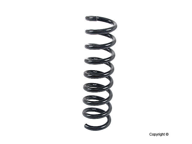 Lesjofors Coil Spring 4256849