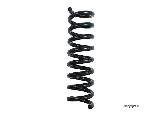 Lesjofors Coil Spring 4256851