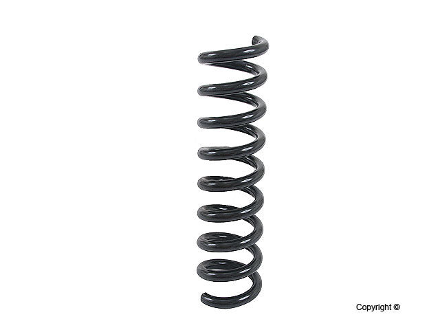 Lesjofors Coil Spring 4256855