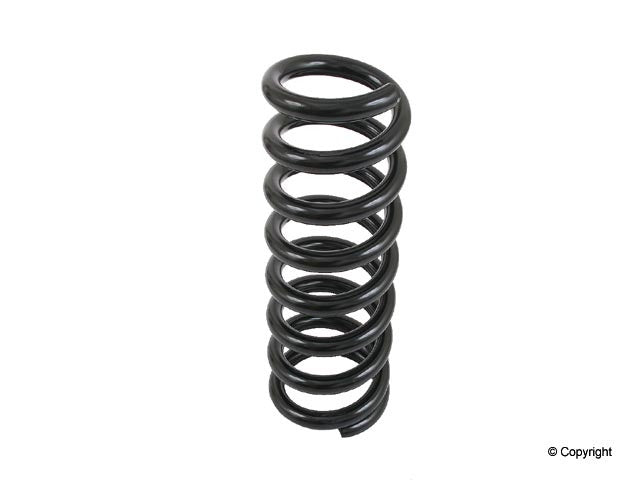 Lesjofors Coil Spring